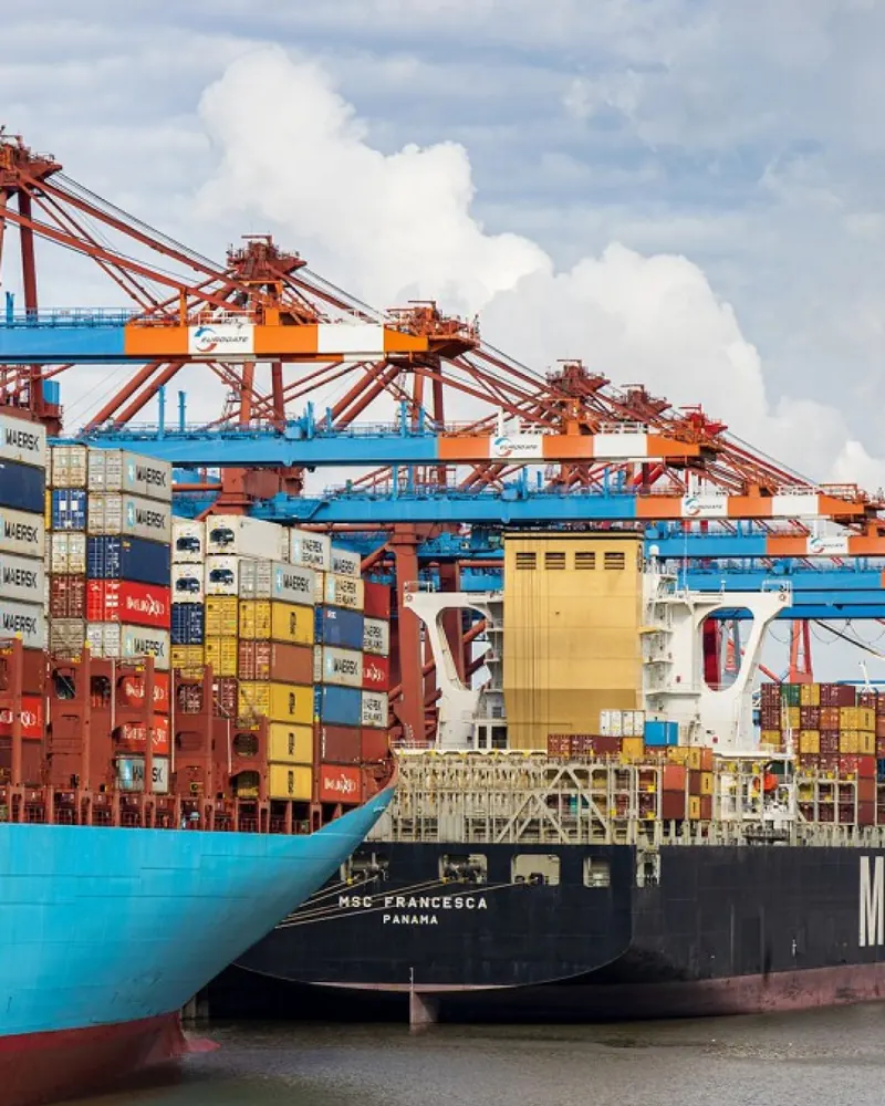 Container ship berthed beside port cranes